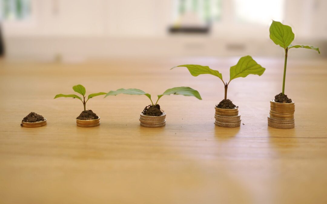 growth 4518406 1280